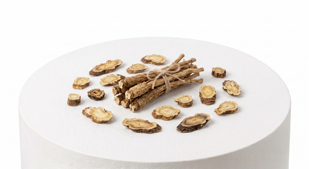 Chaga