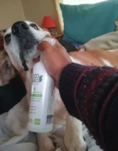 Renovapet Comentarios