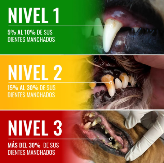 renovapet