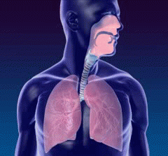 LungPure™ Lung Cleansing Spray