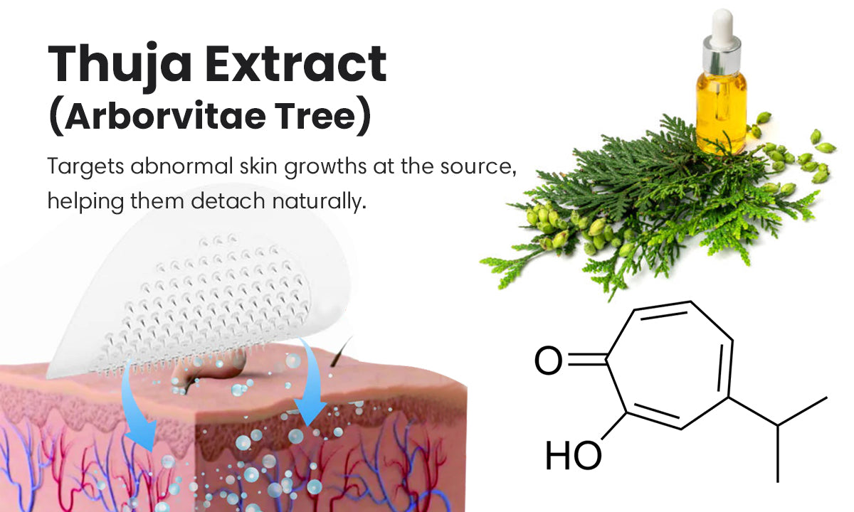 DermaSmooth™ Tag Remover | Just Peel, Stick, and Watch Them Vanish 11 1746686783 ingredient 4 d69d6401 9ee0 49ee b449 45305d2c2e94