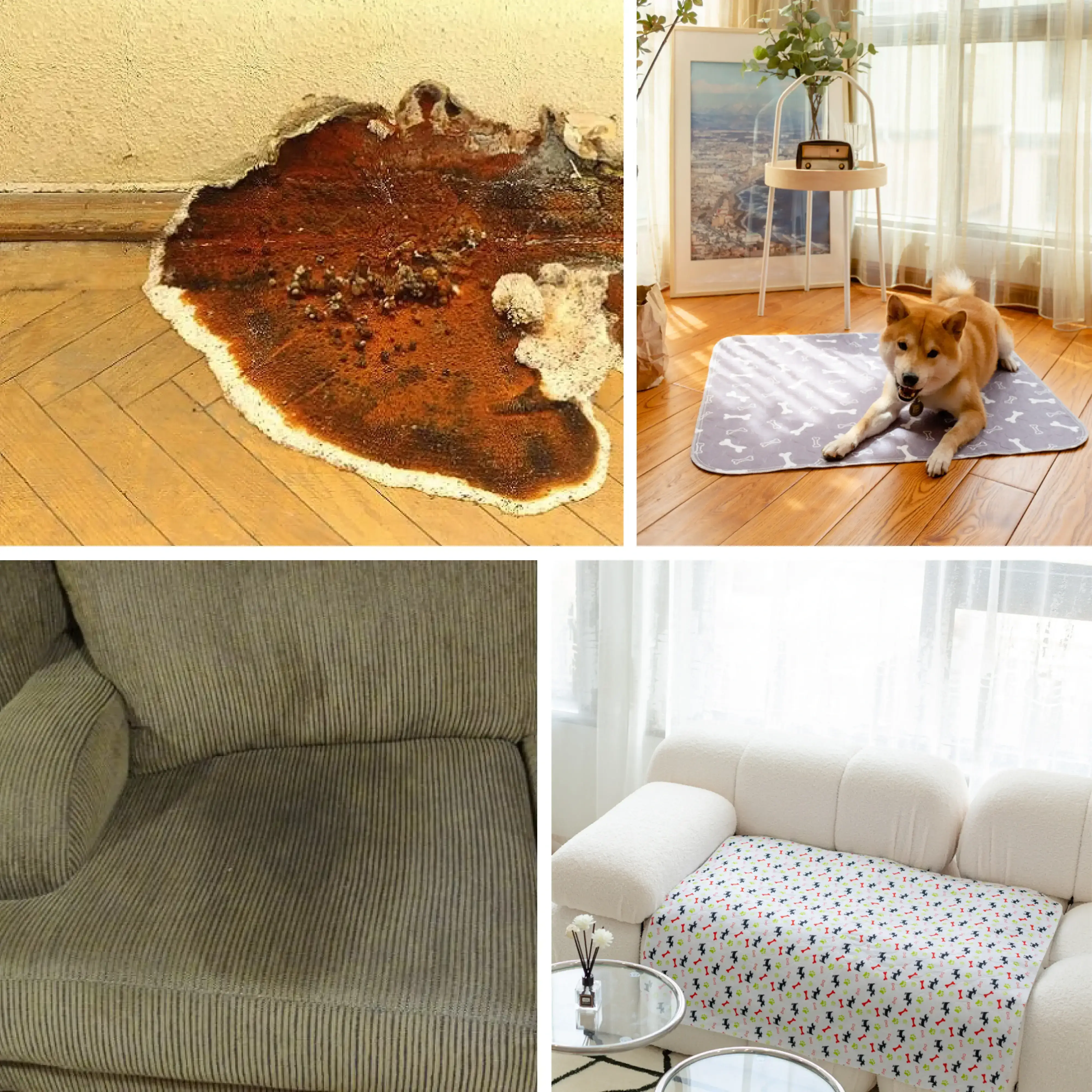 Mouldy Floor and couch compared to perfect floor with PuppyPad on it and perfect white couch with PuppyPad on it.