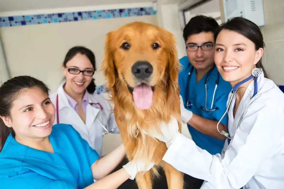 4 Vets with a dog