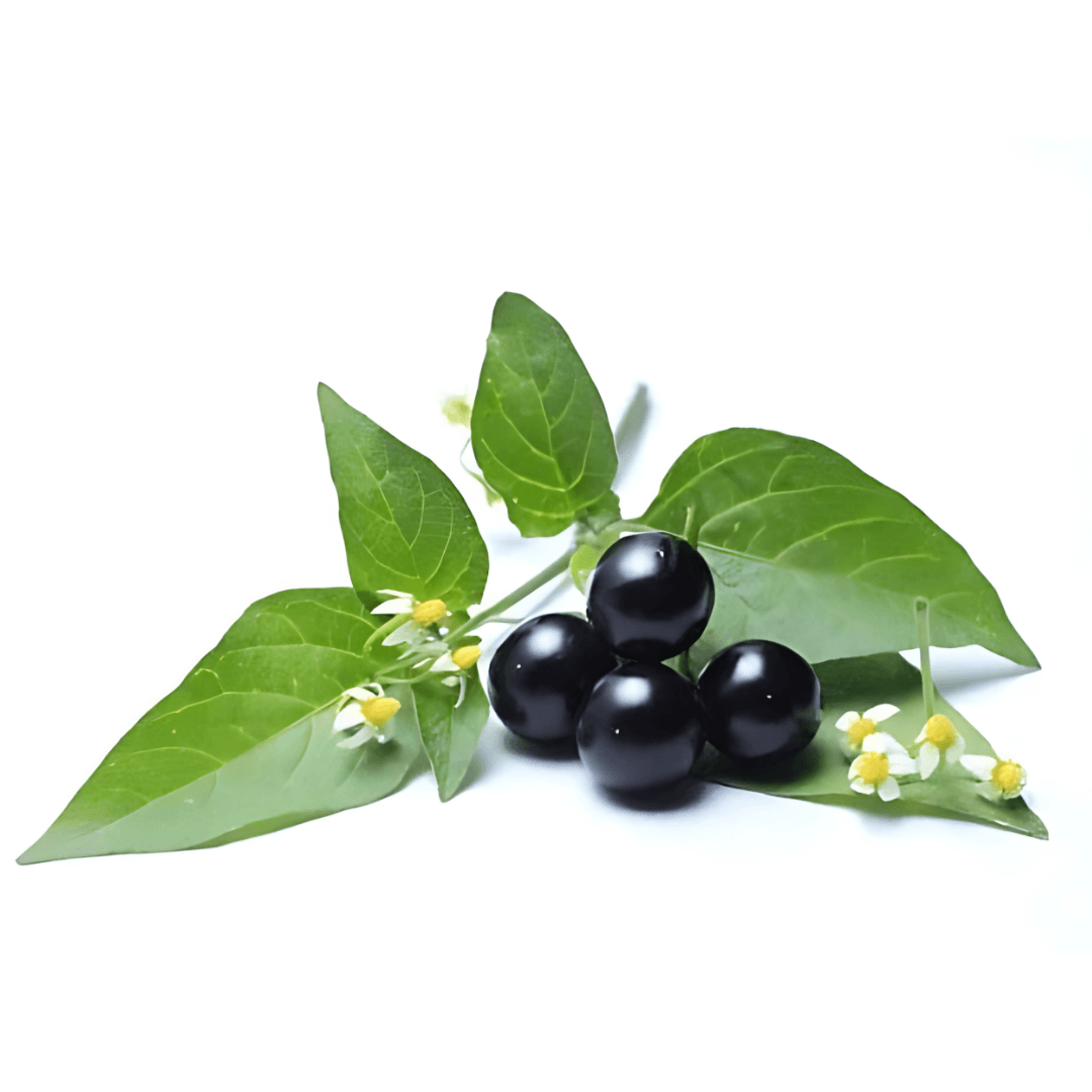 NailCure™ Fungal Nail Drops 22 NailCure™ Fungal Nail Drops