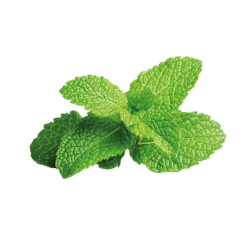 RestEar Natural Vertigo Relief Roll On image RestEar Natural Vertigo Relief Roll On