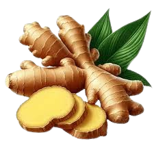 RestEar Natural Vertigo Relief Roll On image RestEar Natural Vertigo Relief Roll On