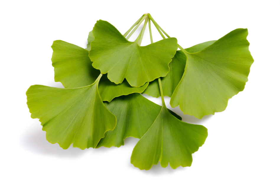 Nordicbewell™ Blood Sugar Tea Balances Your Sugar Levels in Just 7 Days!