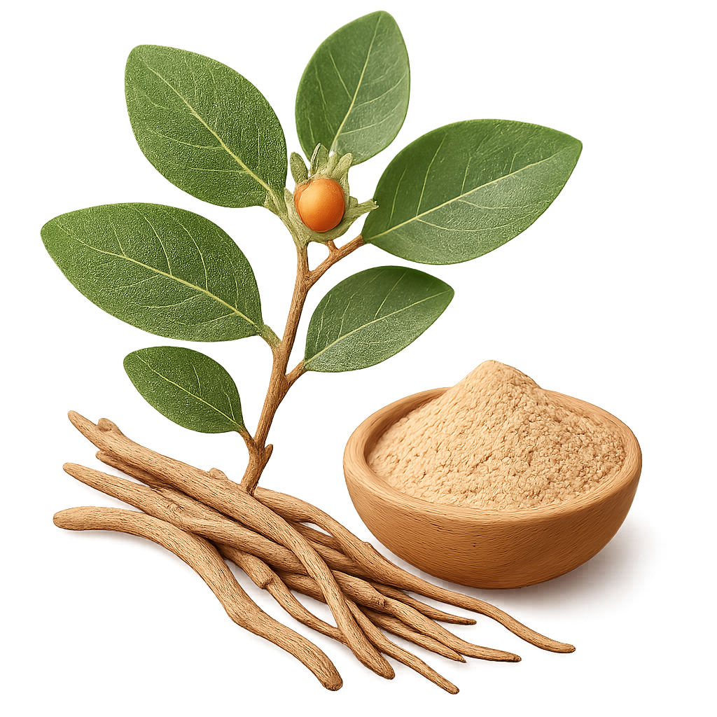 Zenith Shilajit Gold Gummies image Zenith Shilajit Gold Gummies