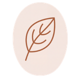 Full-Spectrum Herbal Extracts