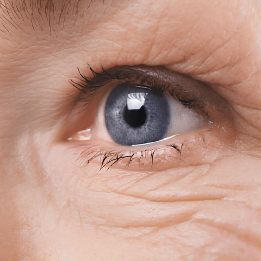 New 8ml OphthlaMed Vision Enhance Roller Natural Eye Care - Foto 6