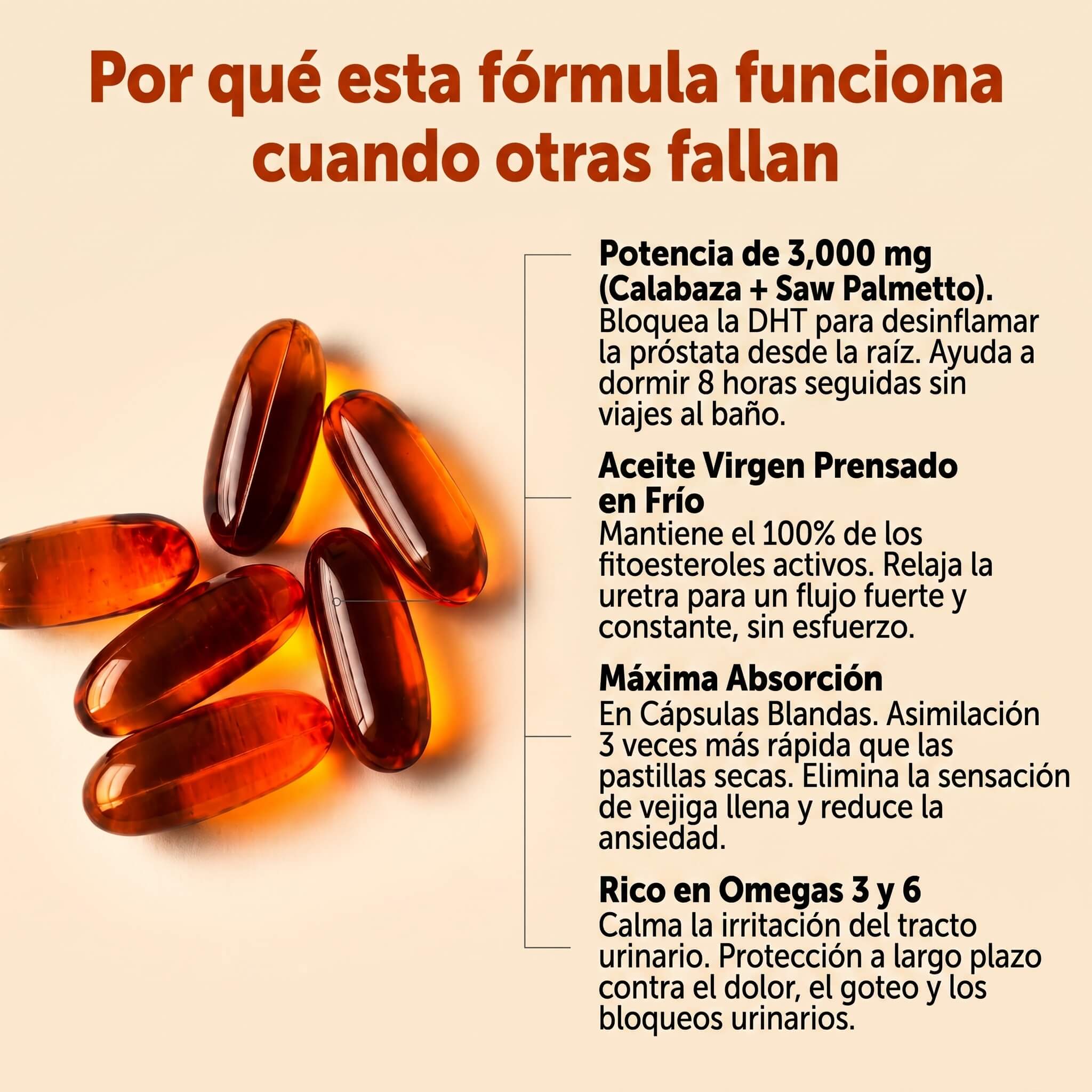 Foto principal 5