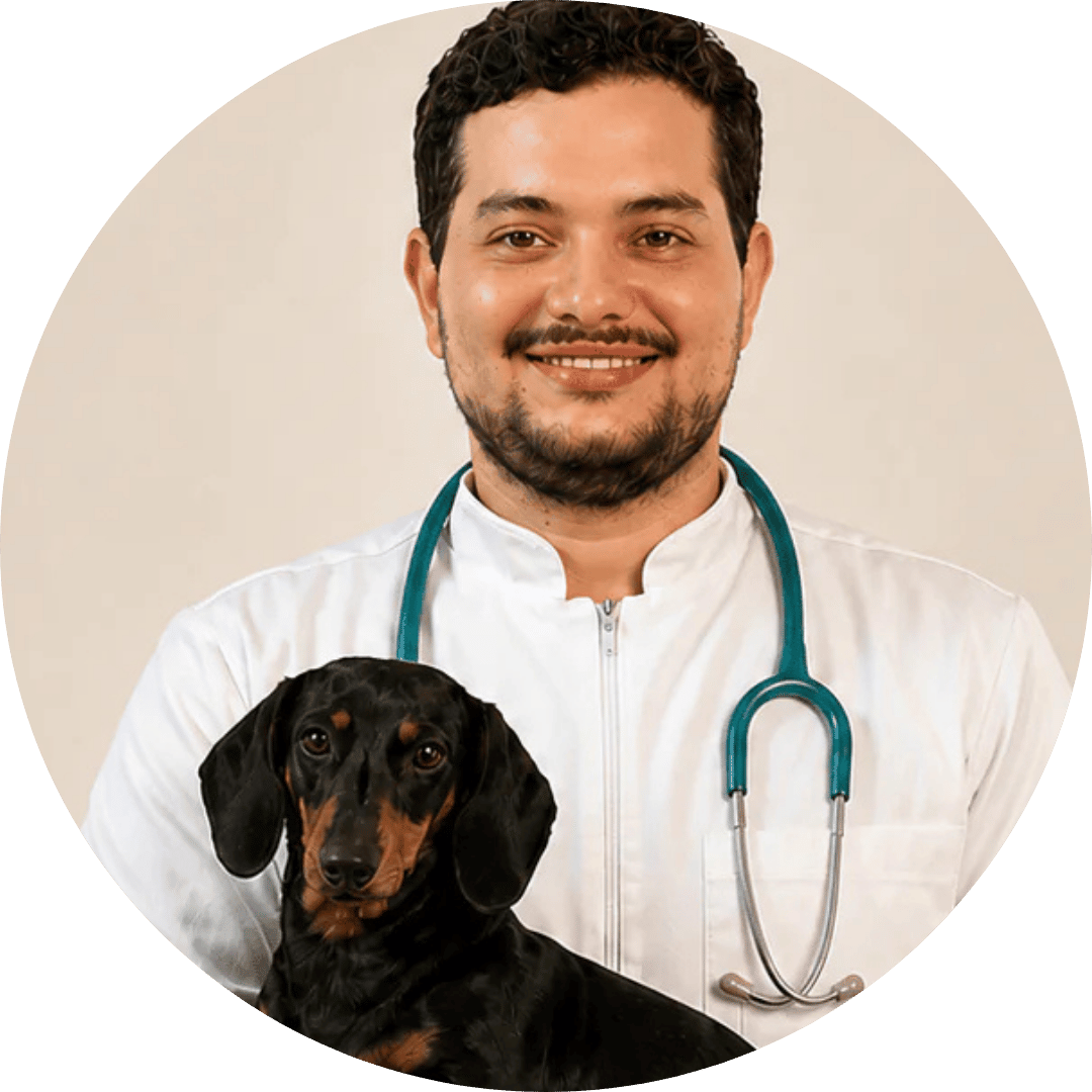Dr. Mark