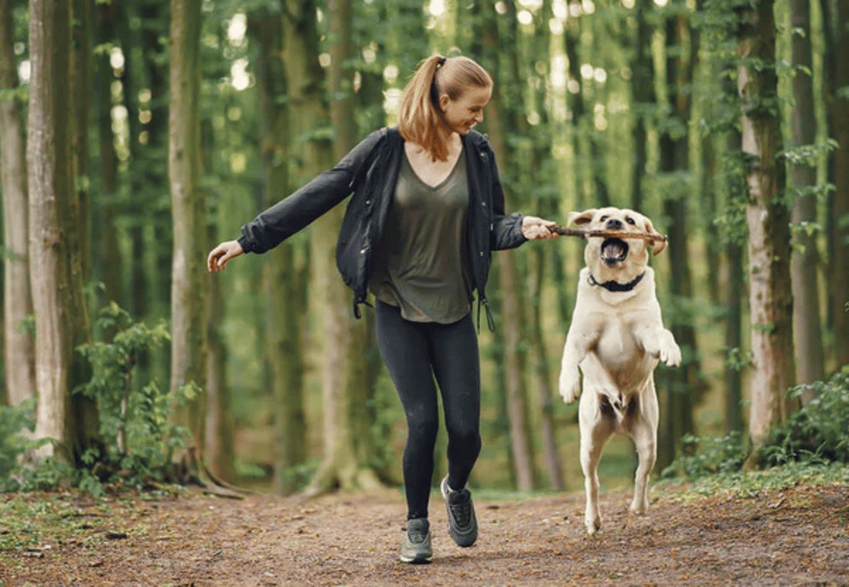 Woman walking with a dog in the forest