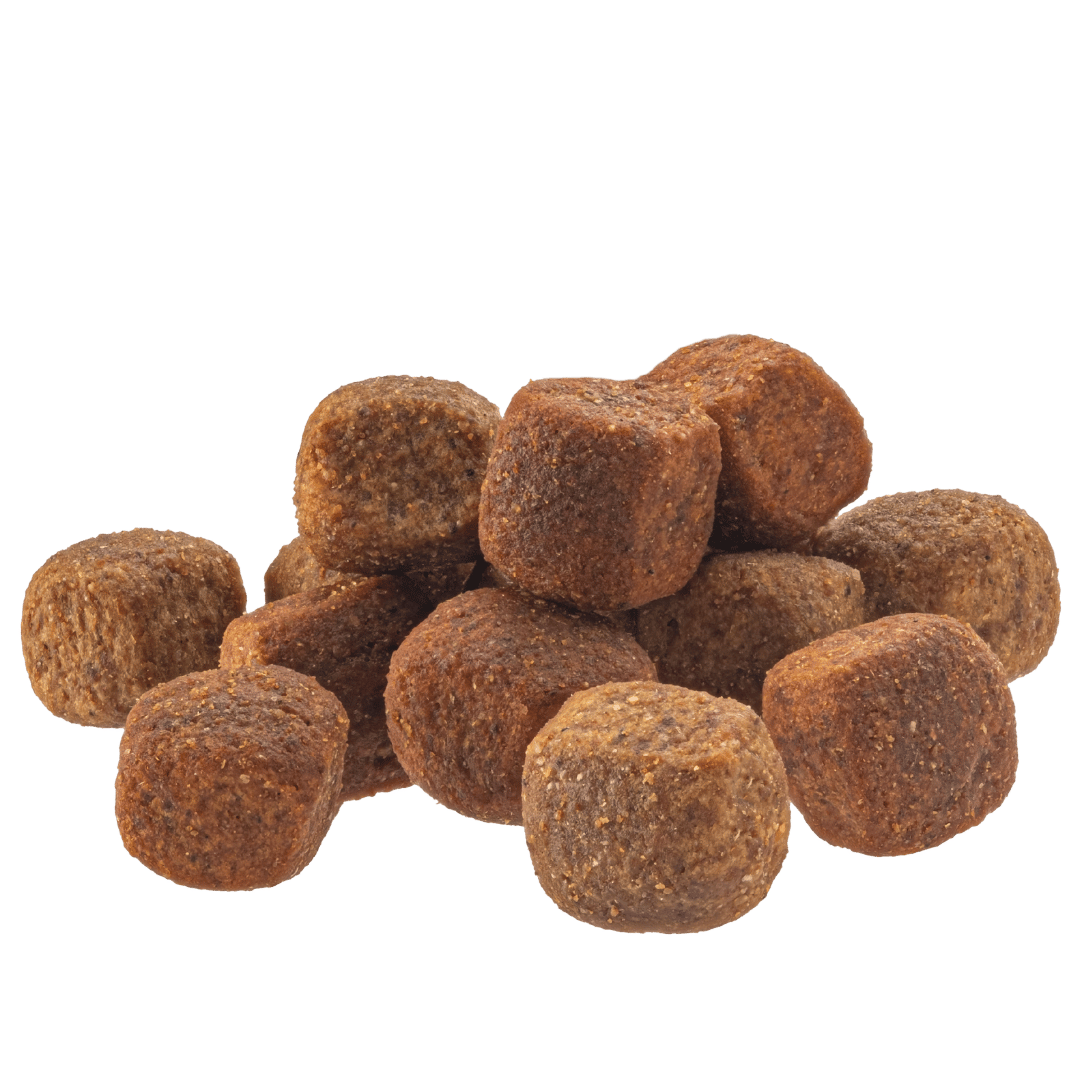 Basic Chew Supplements