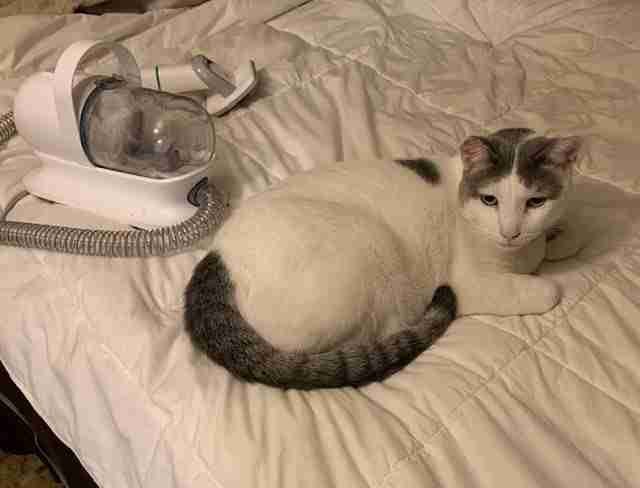 Sac De Toilettage Pour Cheval/poney ROSE Par Rhinegold - Kit Complet, Idée Cadeau Parfaite