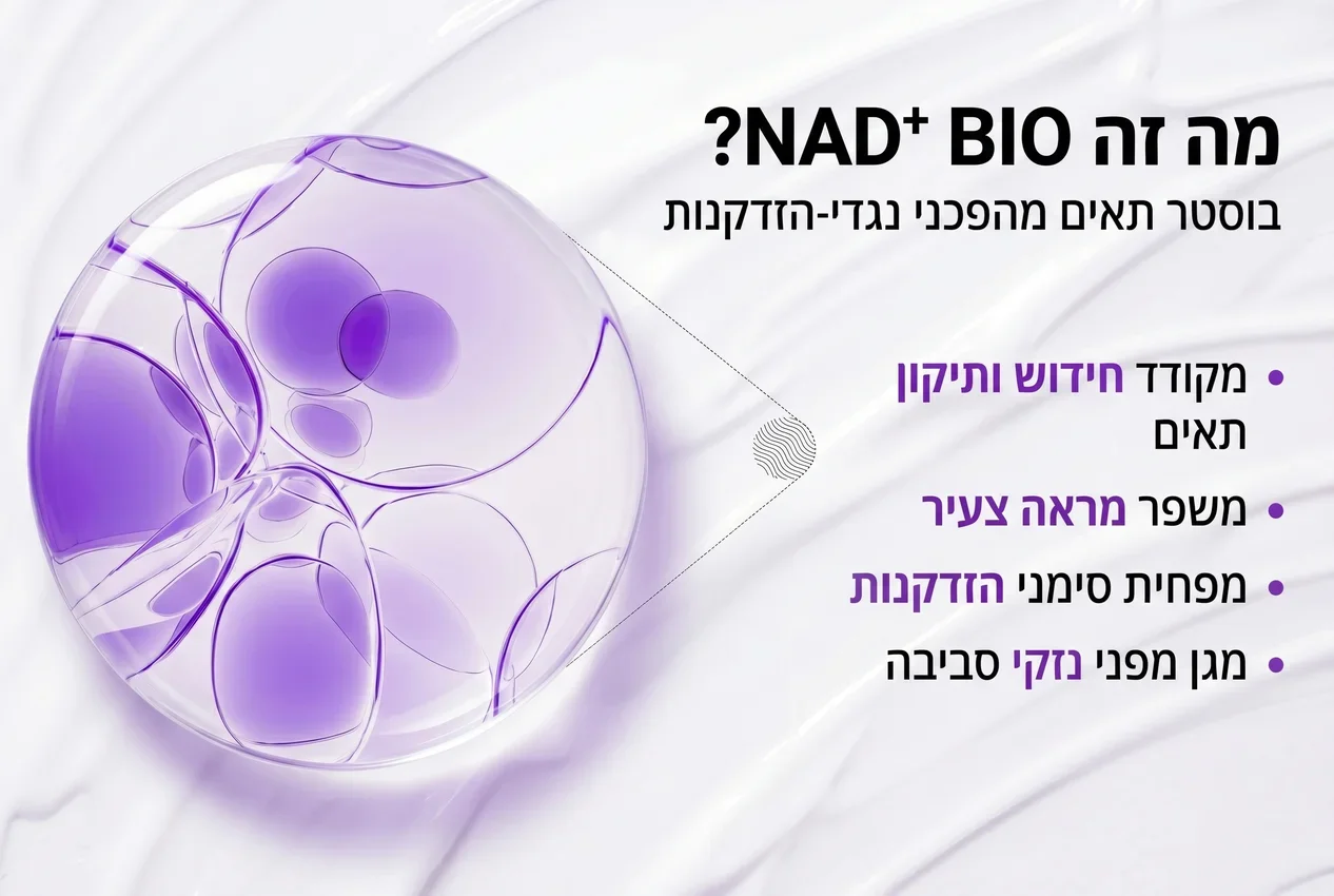 טכנולוגיית NAD+ — שיקום ברמת התא