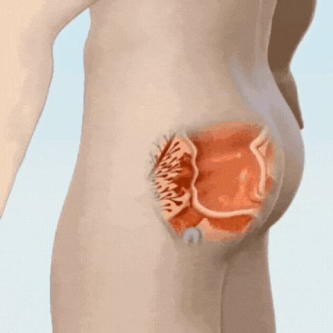 ProstaVita™ Food Supplement Capsules