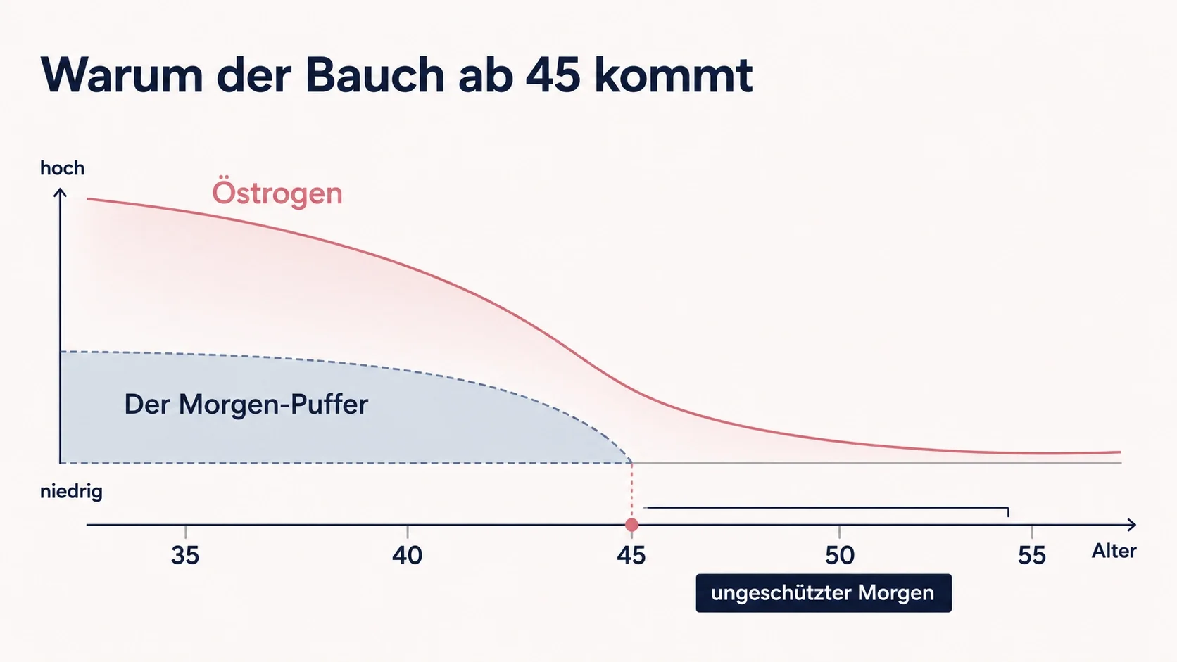Grafik: Warum der Bauch ab 45 kommt