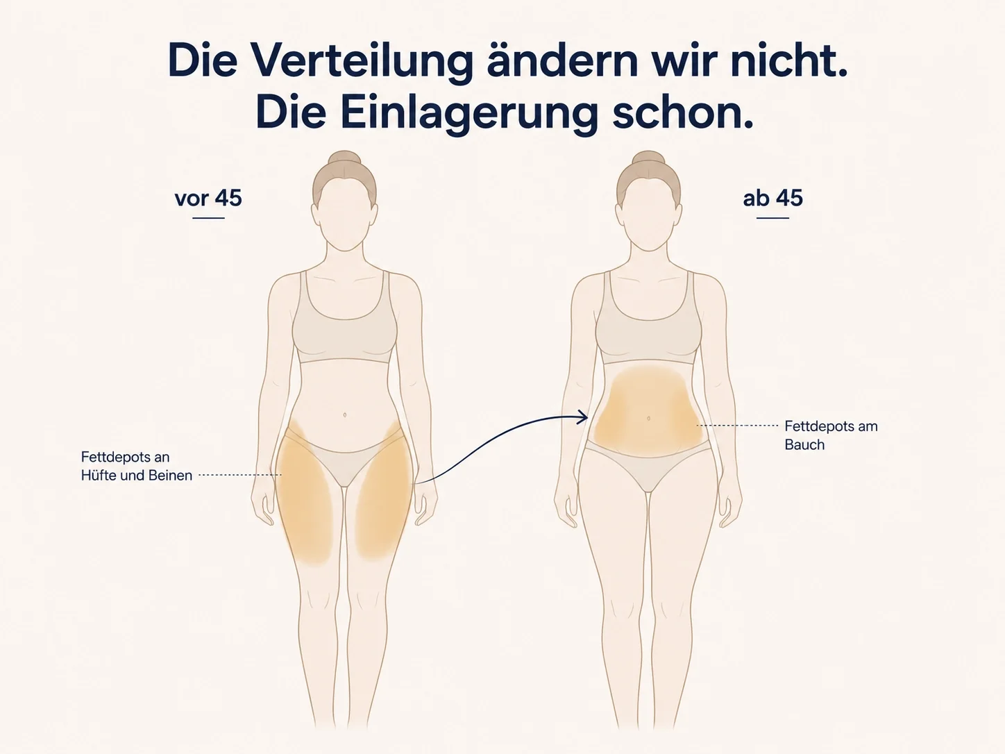 Grafik zur Fettverteilung vor und ab 45