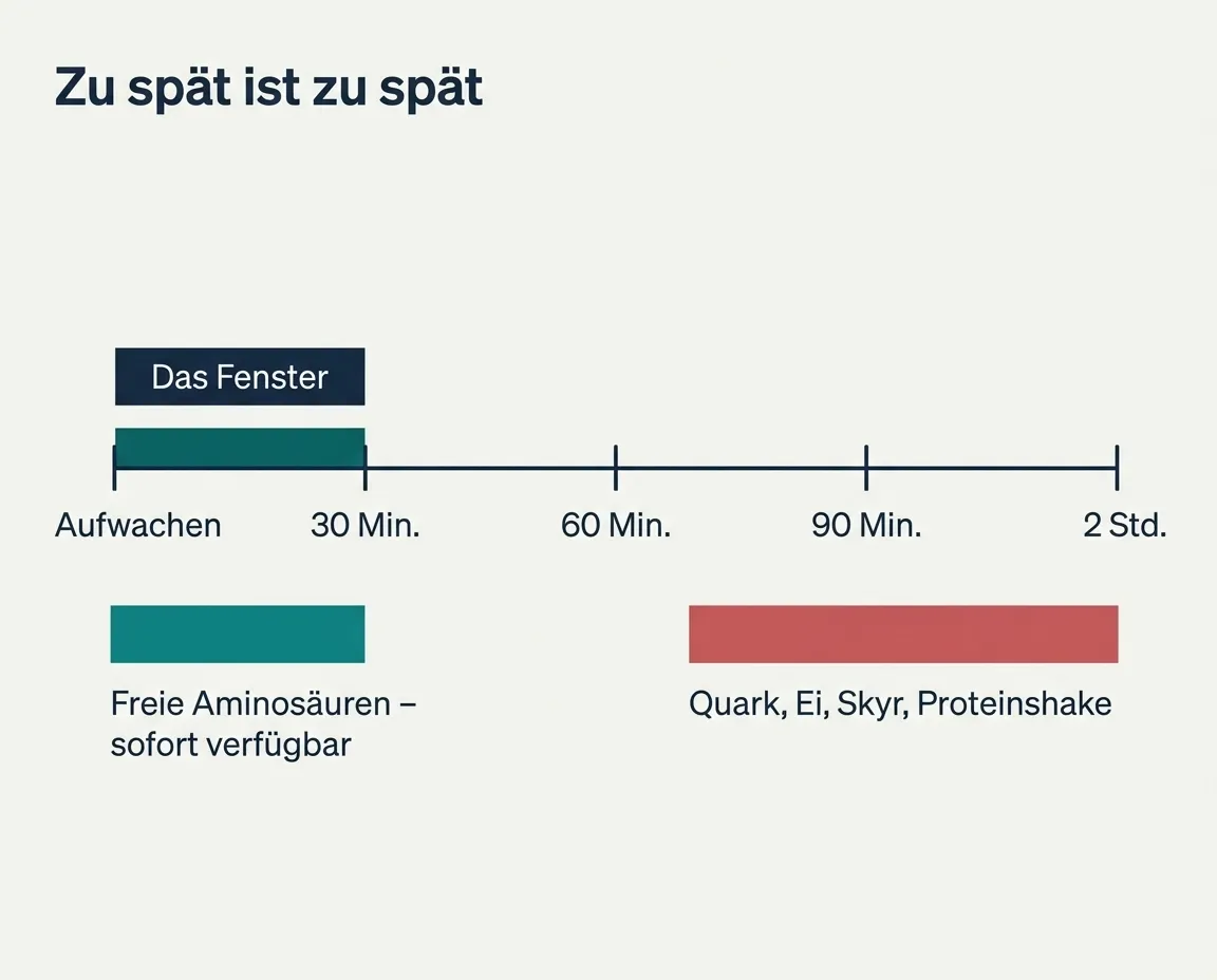 30-Minuten-Fenster