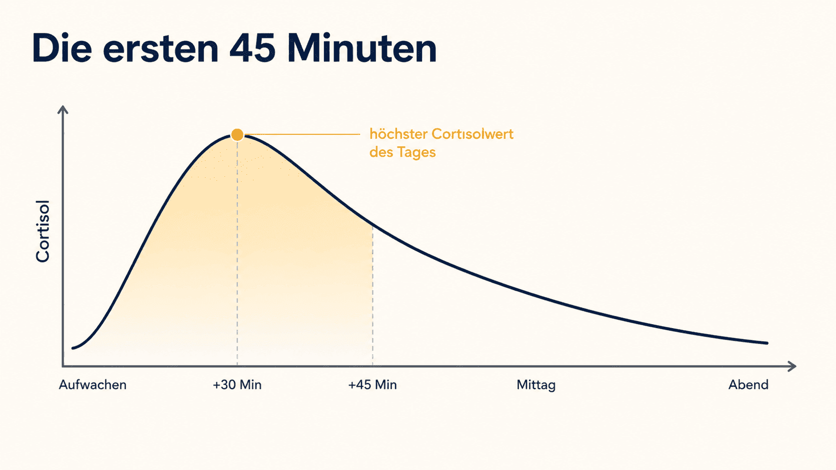 Cortisol-Kurve in den ersten 45 Minuten nach dem Aufwachen