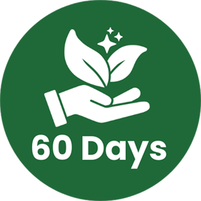 Natural Healing Handbook spread