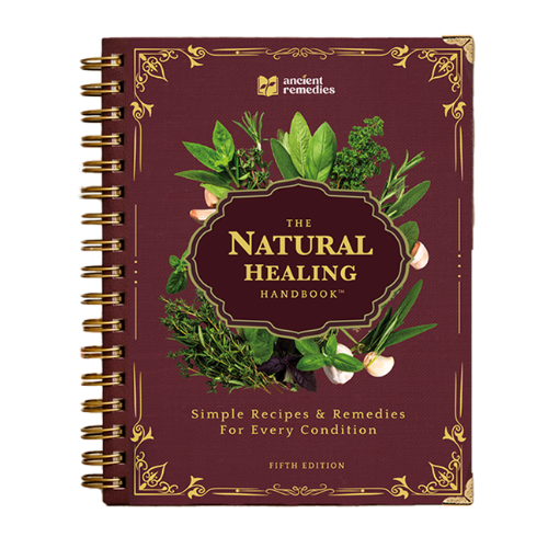 1X The Natural Healing Handbook