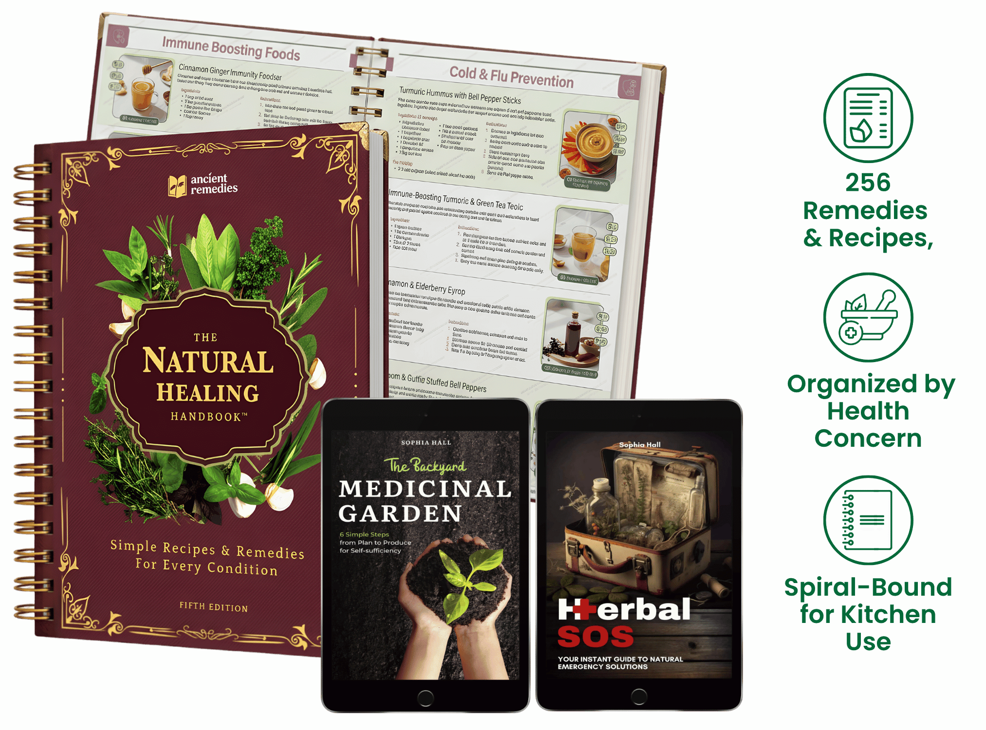 Natural Healing Handbook