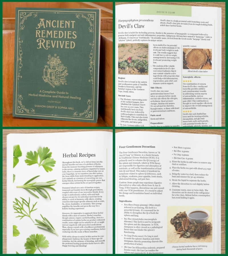 Collage of the book 'Ancient Remedies Revived' and its pages on herbal recipes and remedies.