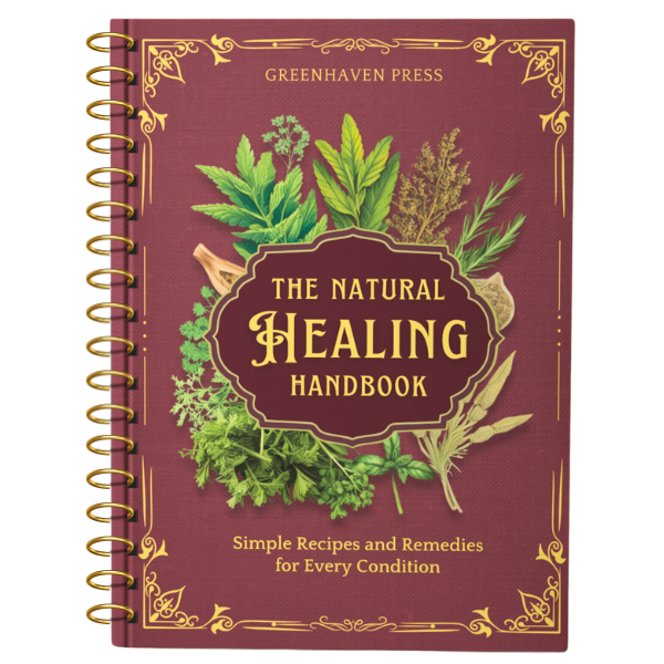 The Natural Healing Handbook
