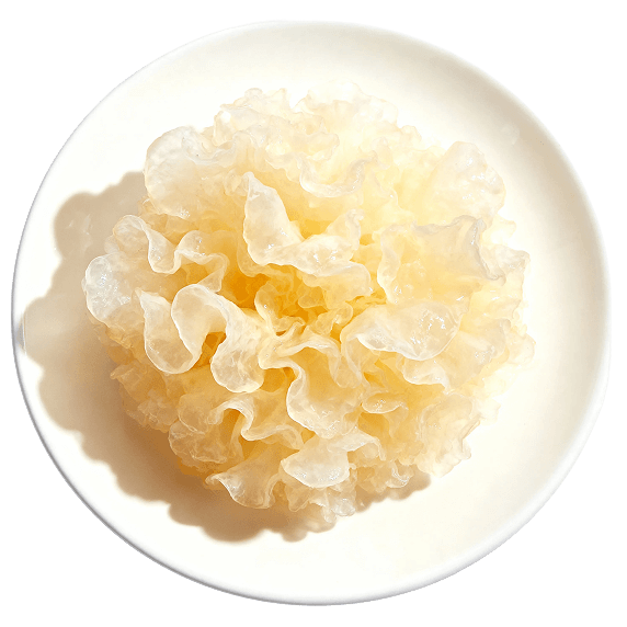 Tremella Mushroom