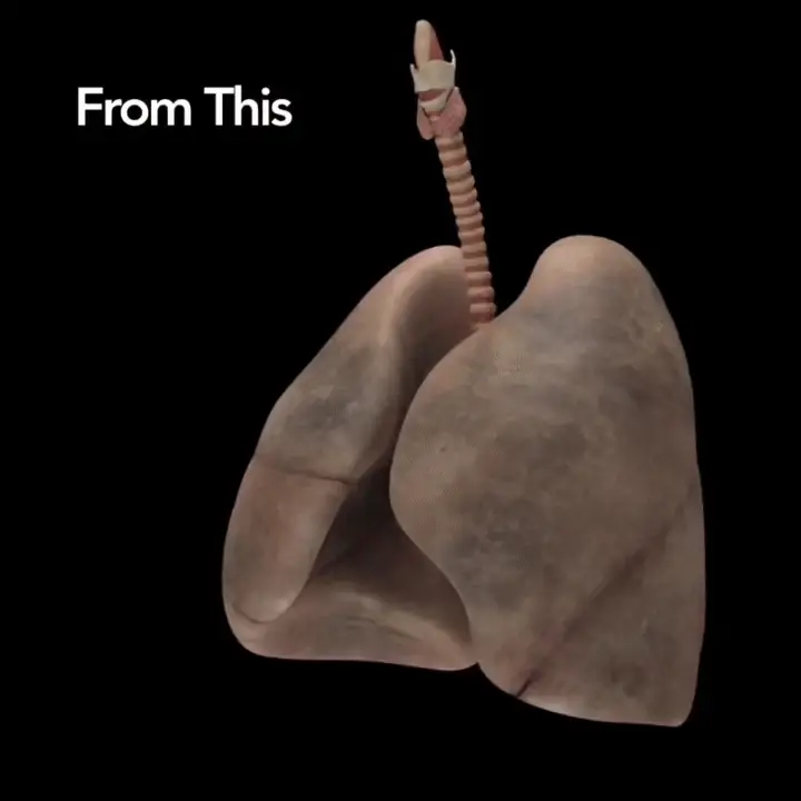 Mucus clearing