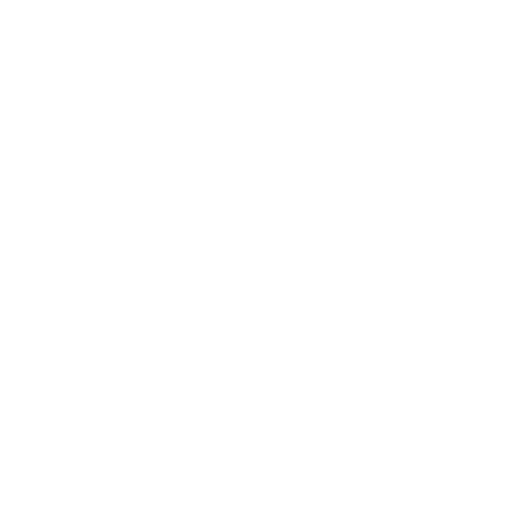 Feature 3