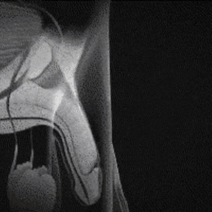 1737274981 Product%20Image%20%281%29