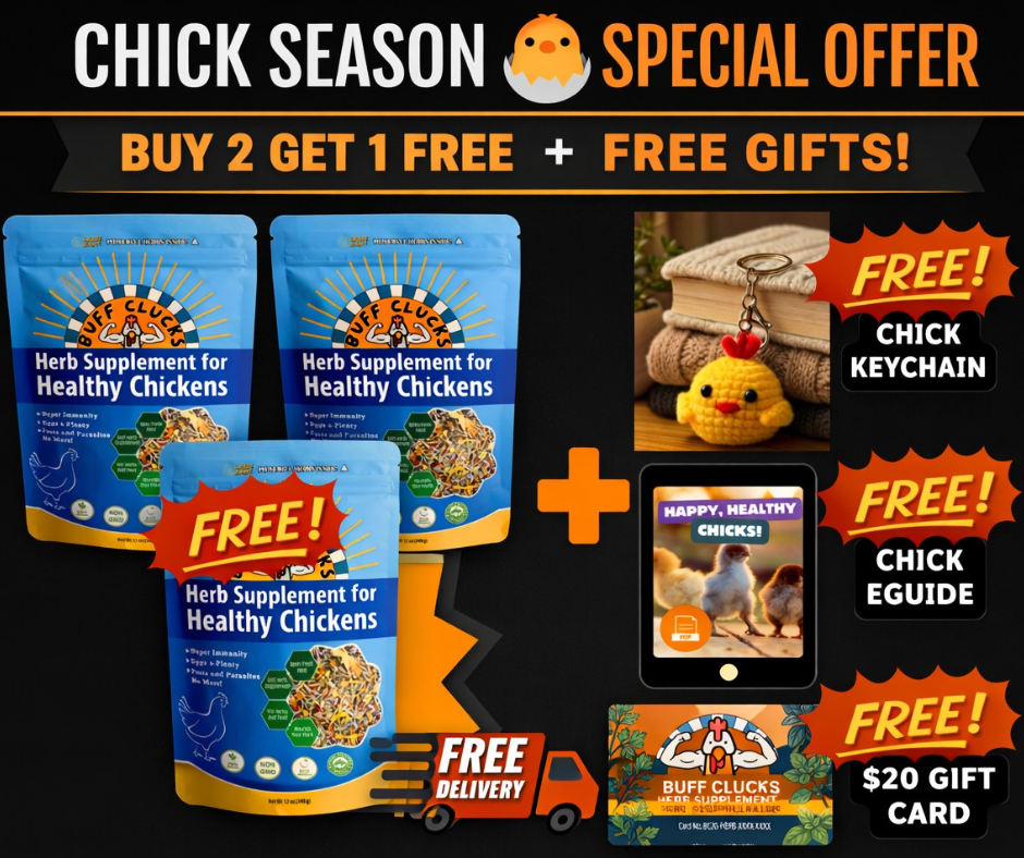 Buy 2 Bags Get 1 Free + Free Gifts