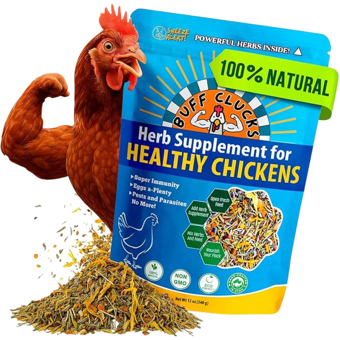 Buff Clucks Herb Supplement