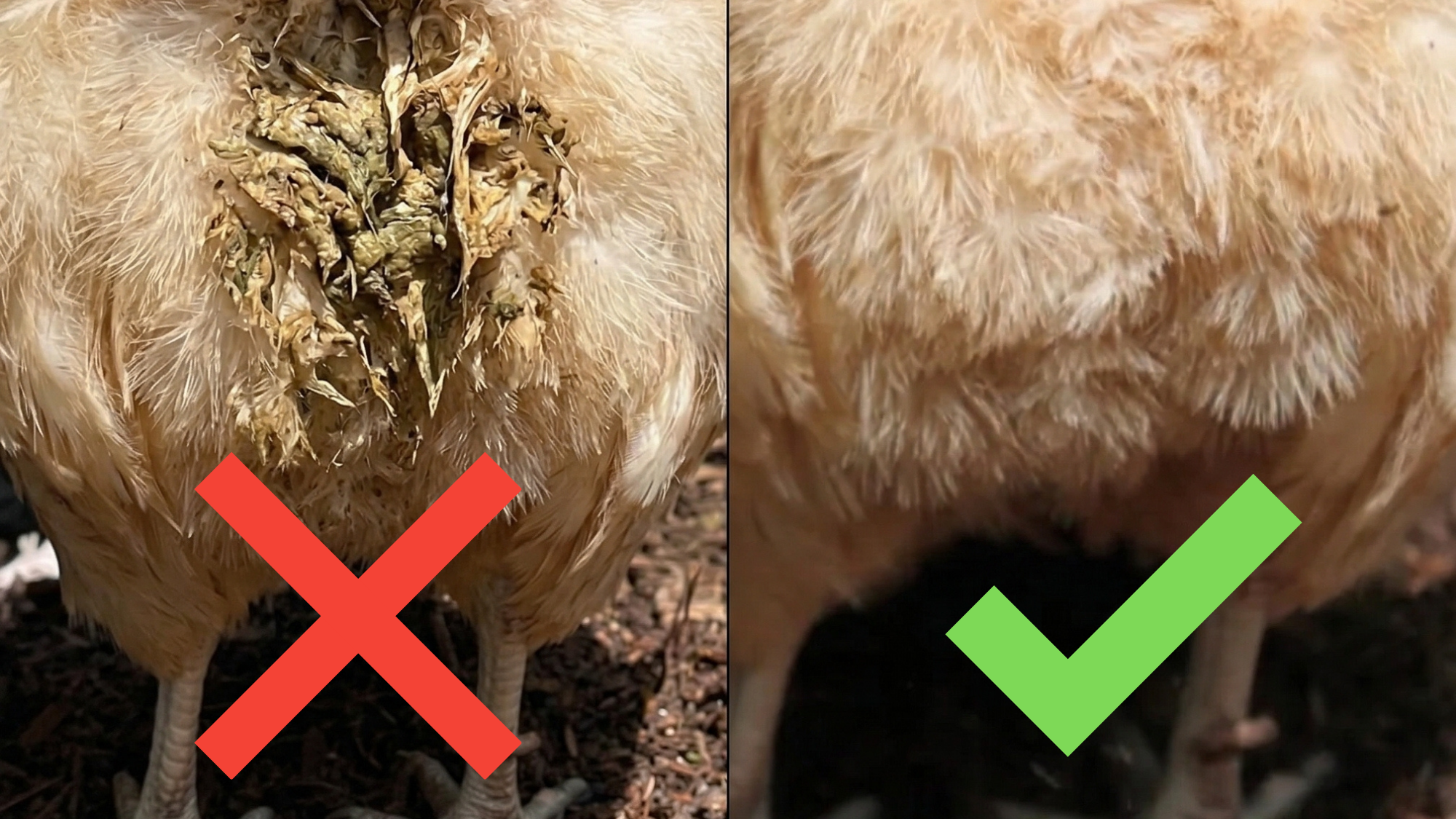 Dirty vent vs clean vent comparison