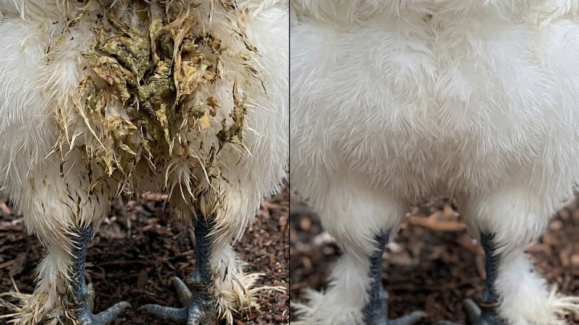 Before and after vent comparison