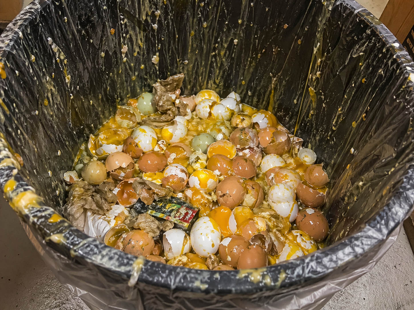 56 eggs worth of breakfast — trashed