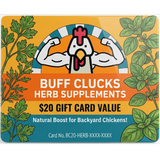 $20 Digital Coupon