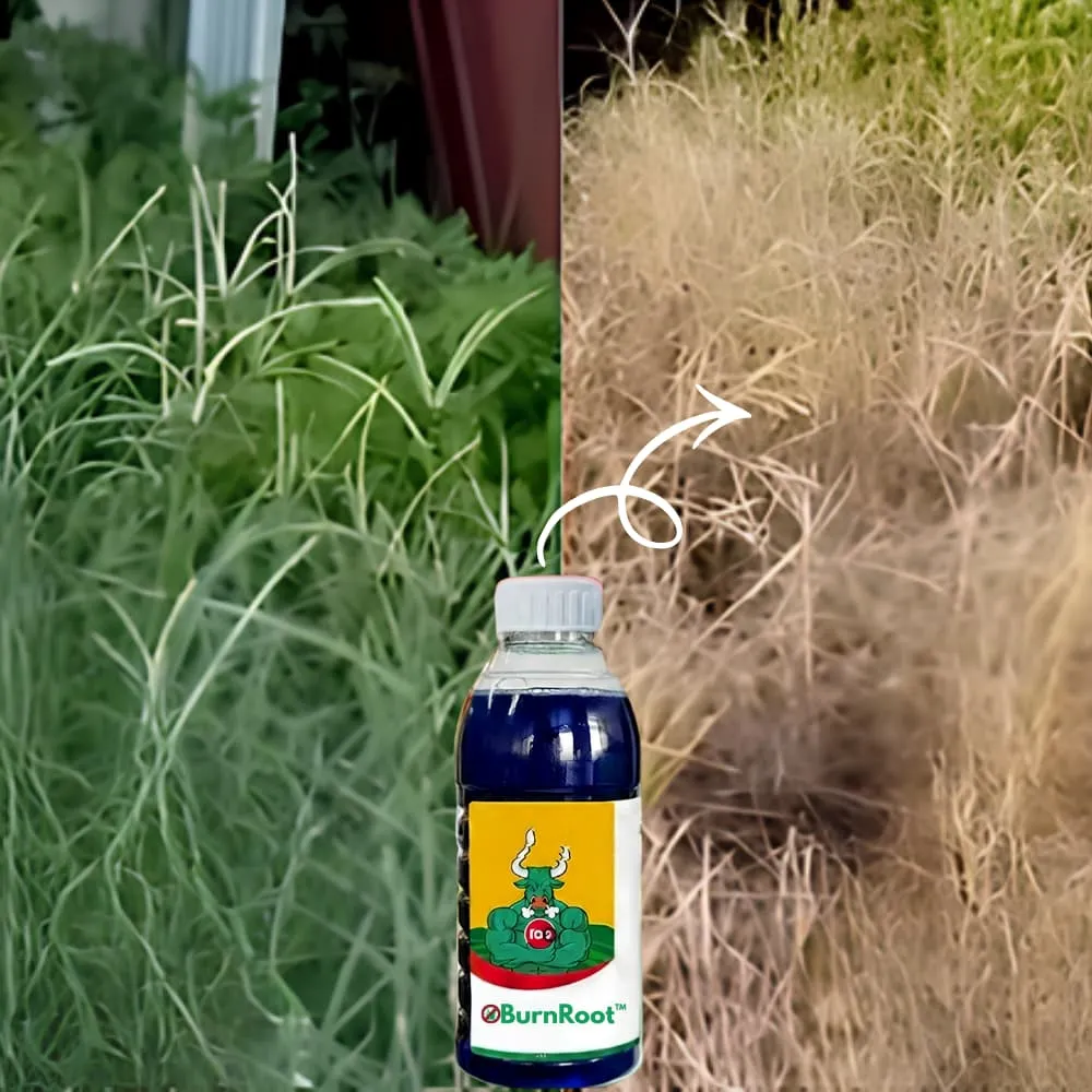 Ukrudt fjernet af BurnRoot