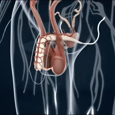 IronRush™ Male Enhancement Gummies | Get huge, rock-hard erections in just 5 minutes!