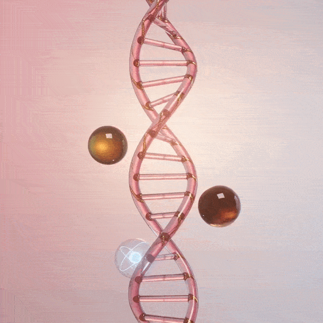 Science of PDRN