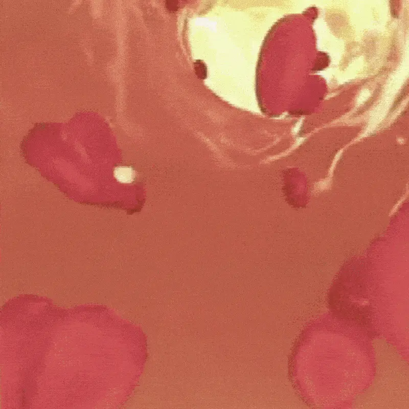 TitanMax™ | Stop relying on pills and activate your natural response in 43 seconds 17 1765347989 10010 compressed 01e95ddcc3 ezgif.com gif to webp converter