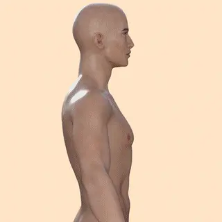 1744425706 1727100479 g3