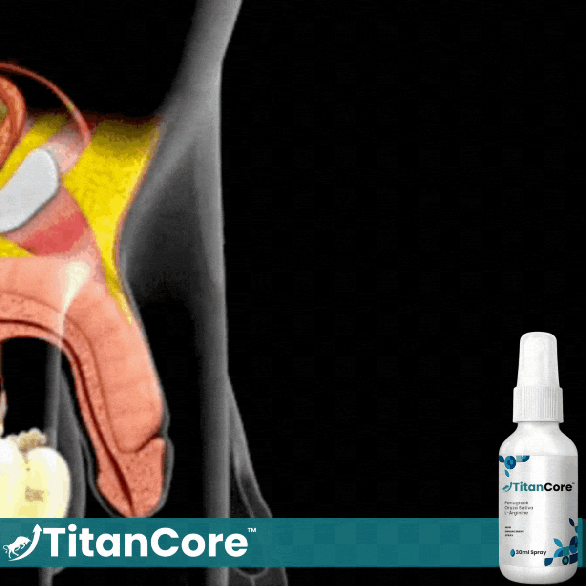 TitanCore™ Algae Erection Spray 14 1764052012 uk%20tc%20%283%29