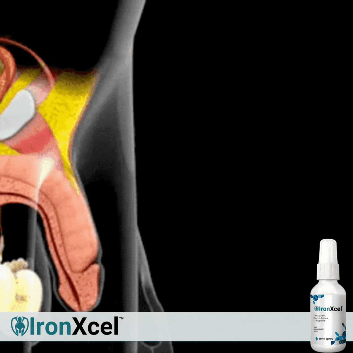 IronXcel™ Algae Erection Spray 16 1766737347 uk%20%283%29