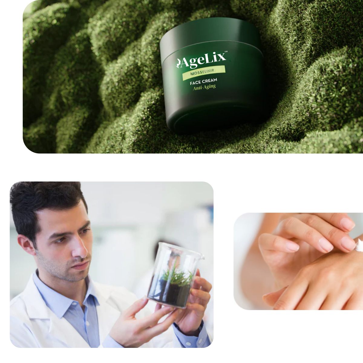 1742990606 uk%20%286%29