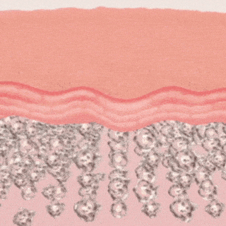 CeraLift™ Firming Body Oil | Restore 90% of Your Skin’s Firmness and Radiance