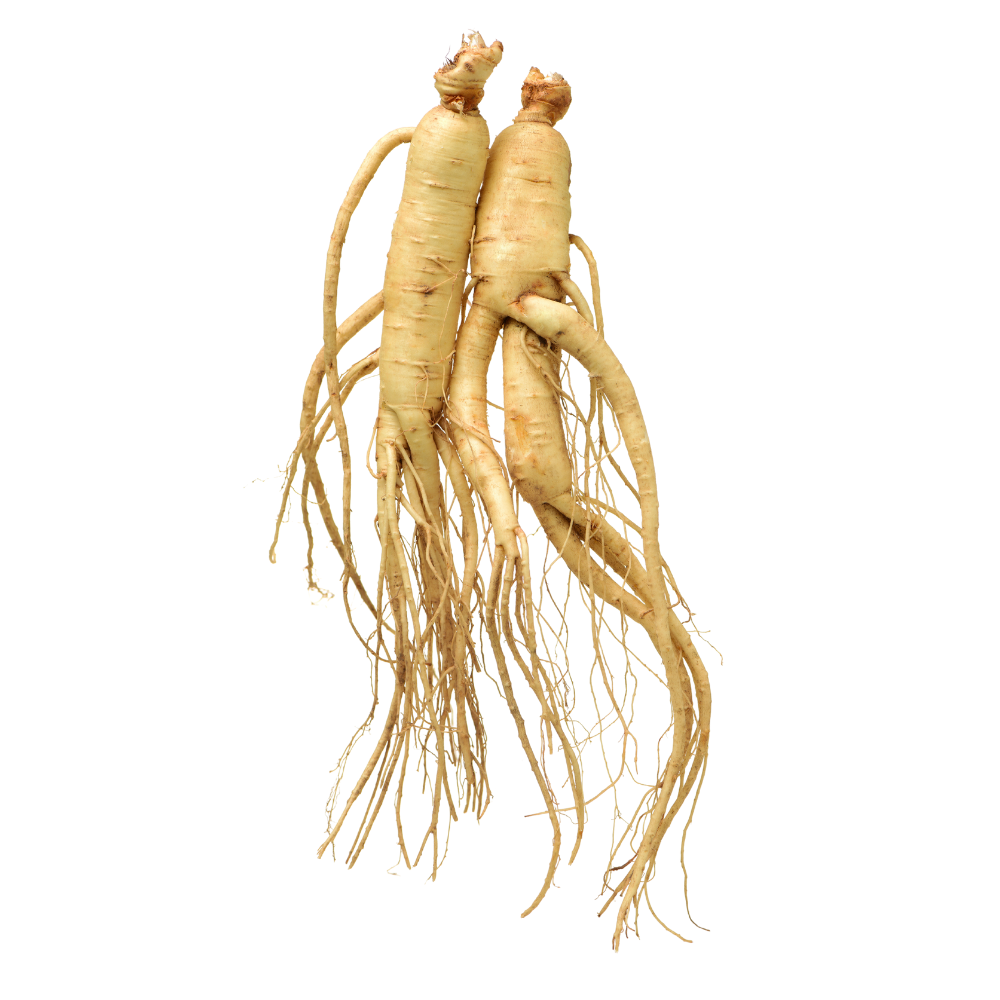 HardRush™ Algae Spray | Rock hard in just 43 seconds & feel 18 again